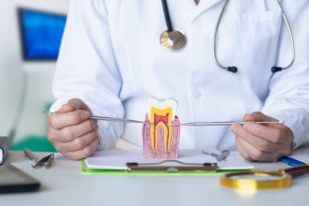 Best Urgent Care for Lost Fillings or Crowns in Walnut Cove, NC